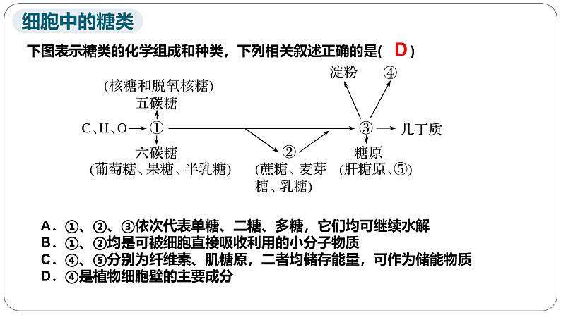 第二章第三节细胞中的糖类和脂质课件第二课时第4页