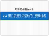 第二章第四节蛋白质是生命活动的主要承担者课件第一课时