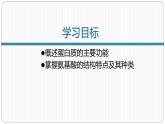第二章第四节蛋白质是生命活动的主要承担者课件第一课时