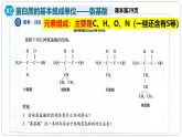第二章第四节蛋白质是生命活动的主要承担者课件第一课时