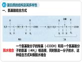 第二章第四节蛋白质是生命活动的主要承担者课件第二课时