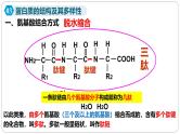第二章第四节蛋白质是生命活动的主要承担者课件第二课时