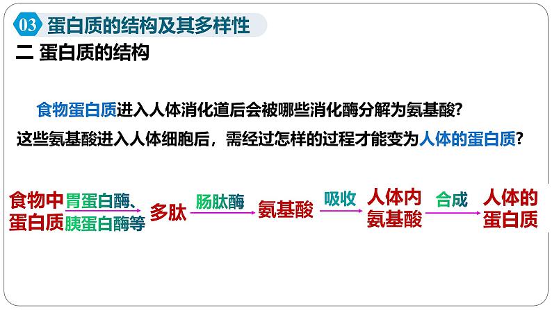 第二章第四节蛋白质是生命活动的主要承担者课件第二课时第6页