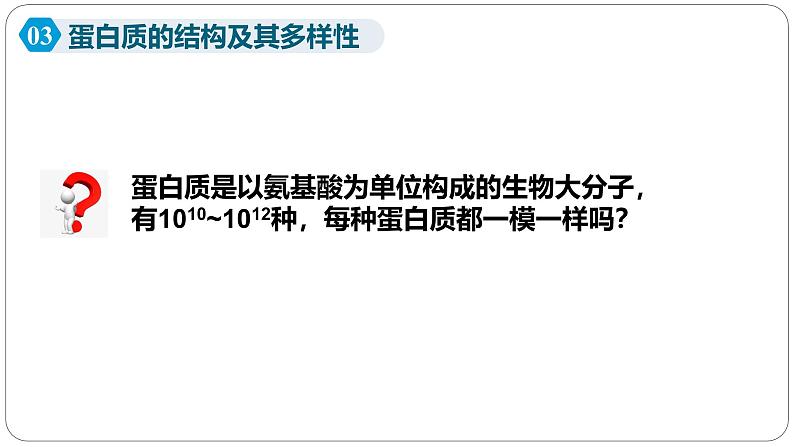 第二章第四节蛋白质是生命活动的主要承担者课件第二课时第7页