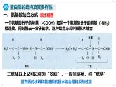 第一章第四节蛋白质是生命活动的主要承担者课件第三课时