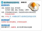 第一章第四节蛋白质是生命活动的主要承担者课件第三课时