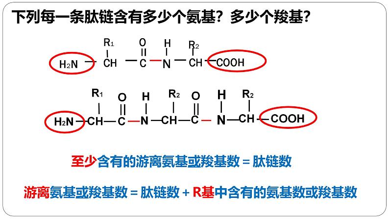 第一章第四节蛋白质是生命活动的主要承担者课件第三课时第8页