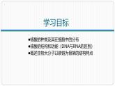 第二章第五节核酸是遗传信息的携带者课件
