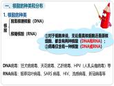 第二章第五节核酸是遗传信息的携带者课件