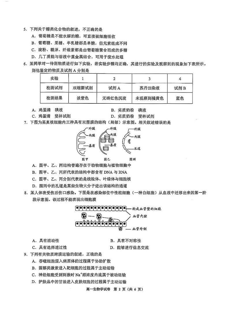 贵州省毕节市威宁彝族回族苗族自治县第八中学2024-2025学年高一上学期期末考试生物试卷第2页