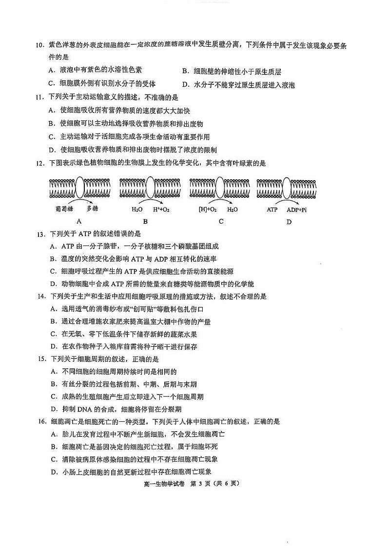 贵州省毕节市威宁彝族回族苗族自治县第八中学2024-2025学年高一上学期期末考试生物试卷第3页