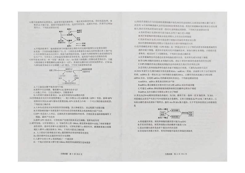 海南省海口市部分学校2024-2025学年高三上学期1月期末生物试题第2页