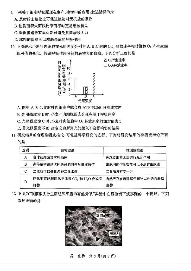 河北省邯郸市2024-2025学年高一上学期期末考试生物试题第3页
