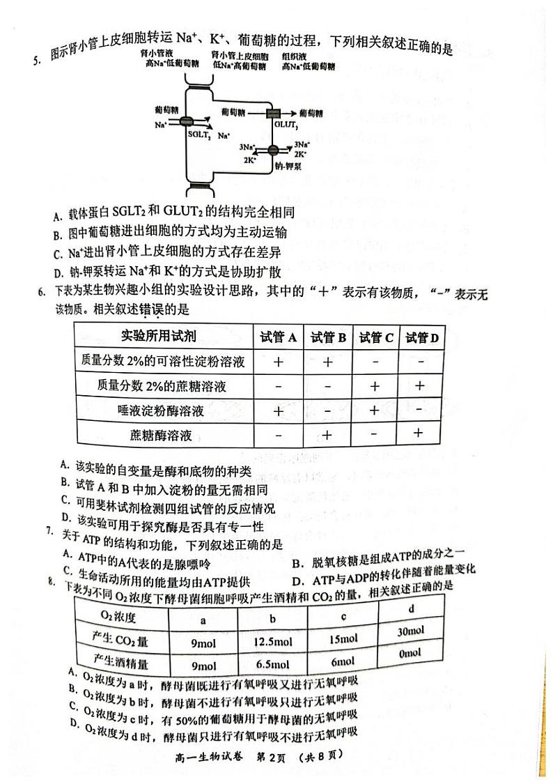 江苏省常州市2024-2025学年高一上学期期末考试生物试题第2页