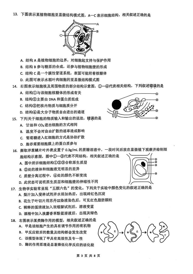 江苏省镇江市2024-2025学年高一上学期1月期末生物试题第3页