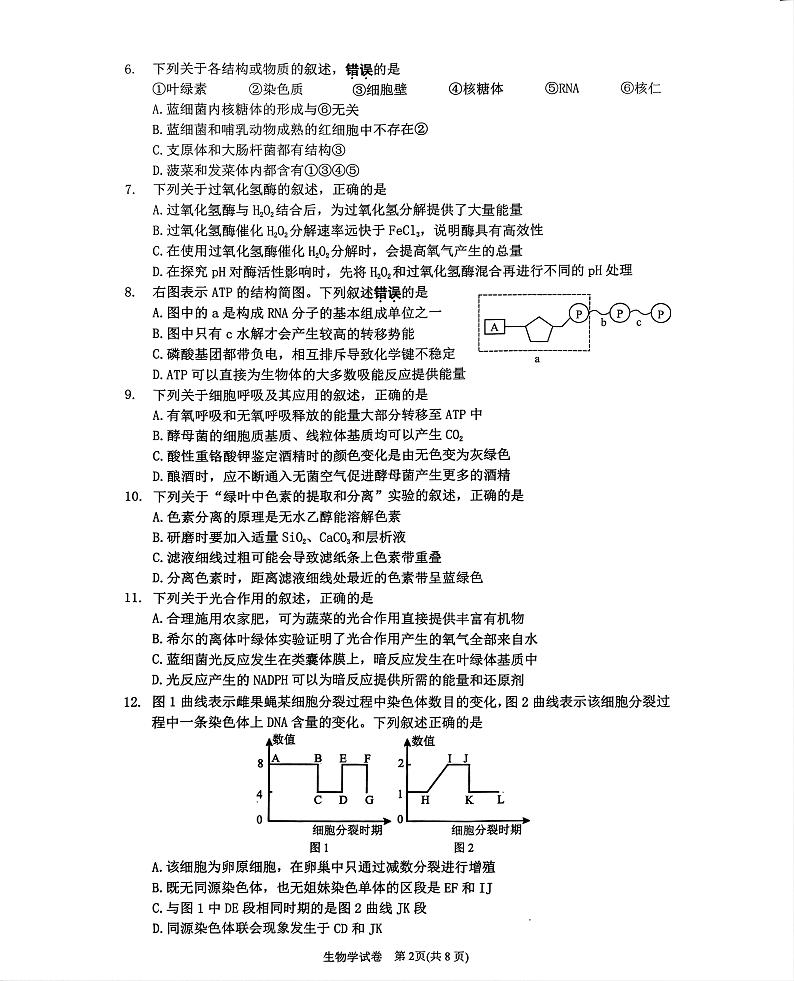 江苏省镇江市丹阳市2024-2025学年高一上学期1月期末生物试题第2页