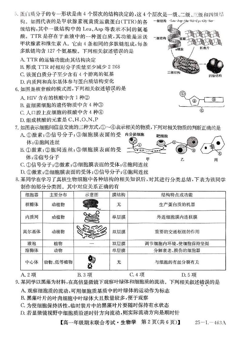 辽宁省朝阳市2024-2025学年高一上学期期末联考生物试卷第2页