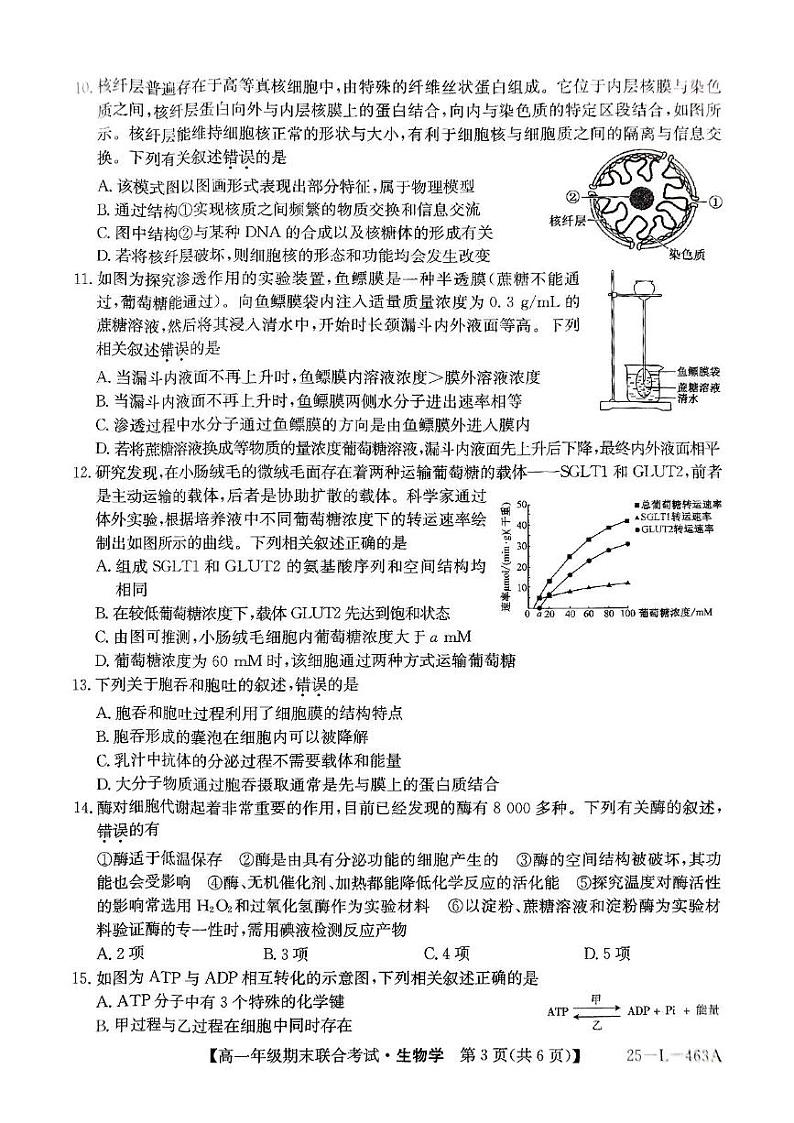 辽宁省朝阳市2024-2025学年高一上学期期末联考生物试卷第3页