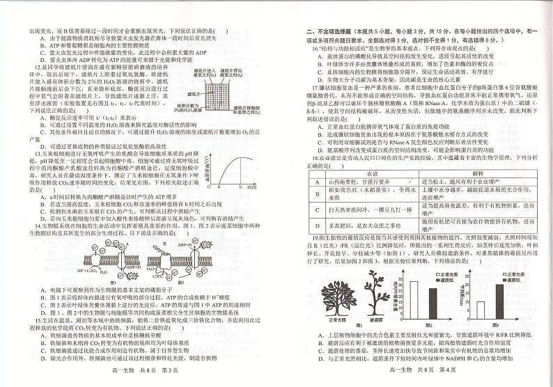 辽宁省辽南协作体2024-2025学年高一上学期期末考试生物试卷第2页