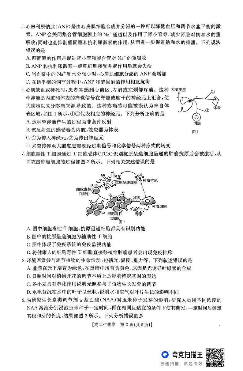 内蒙古巴彦淖尔市2024-2025学年高二上学期期末考试生物试题第2页
