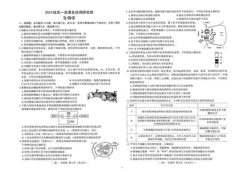 江西省南昌市2024-2025学年高一上学期1月期末生物试题第1页