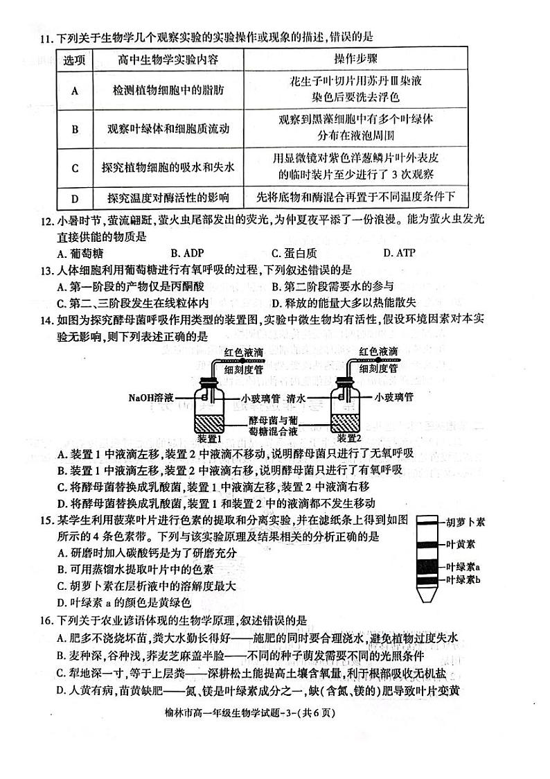 陕西省榆林市2023_2024学年高一生物上学期1月期末考试pdf第3页