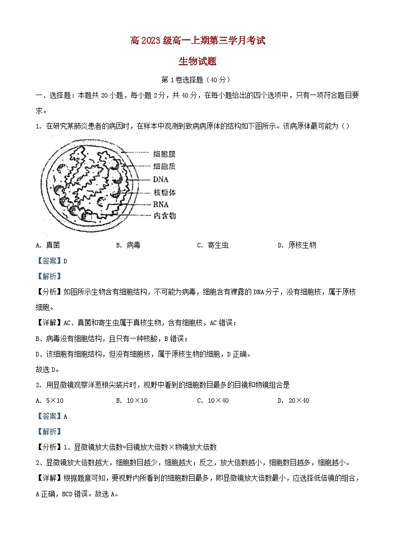 四川省泸县五中2023_2024学年高一生物上学期12月月考试题含解析第1页