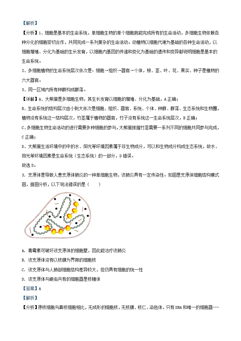 重庆市2023_2024学年高一生物下学期1月期末试题含解析第2页