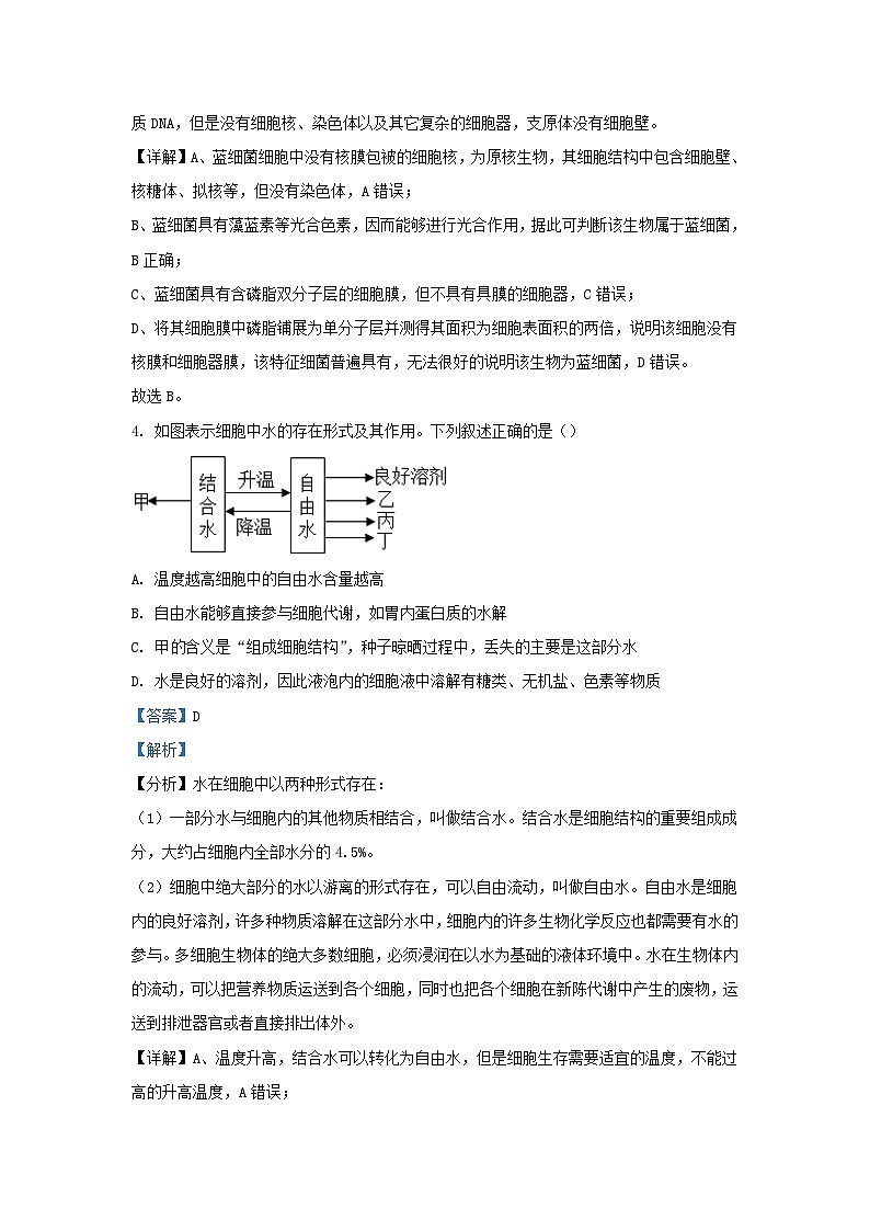 重庆市2023_2024学年高一生物上学期期末试题含解析第3页