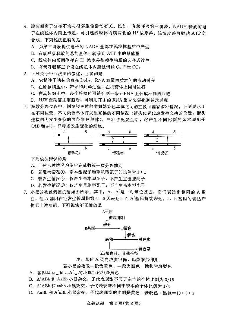 扫描件_准考证号_姓名_(1)第2页
