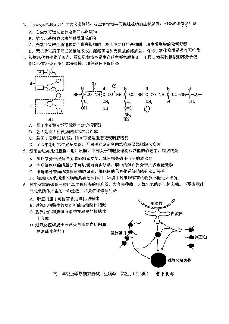 2024-2025学年度高一年级上学期期末生物试卷第2页