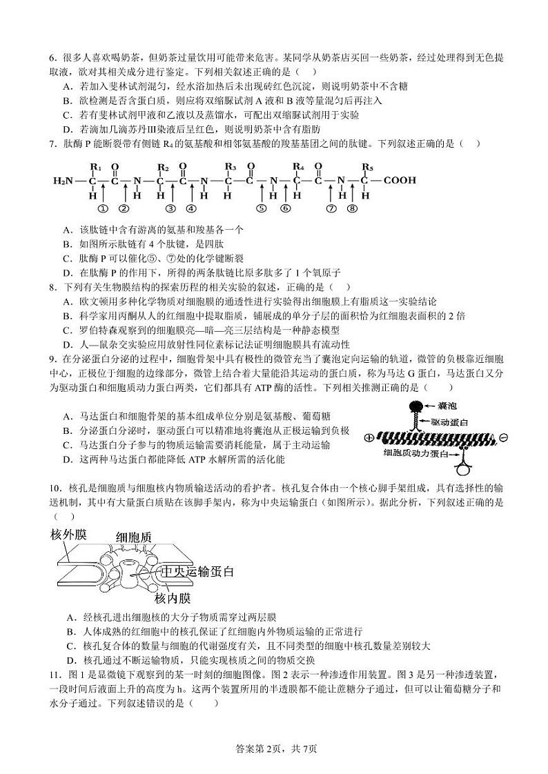 安徽省淮北市第一中学高一上学期末生物试卷（PDF版）第2页
