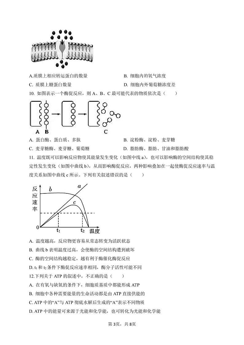 临化中学2024-2025学年度高一年级期末考试生物试卷（原卷版）第3页