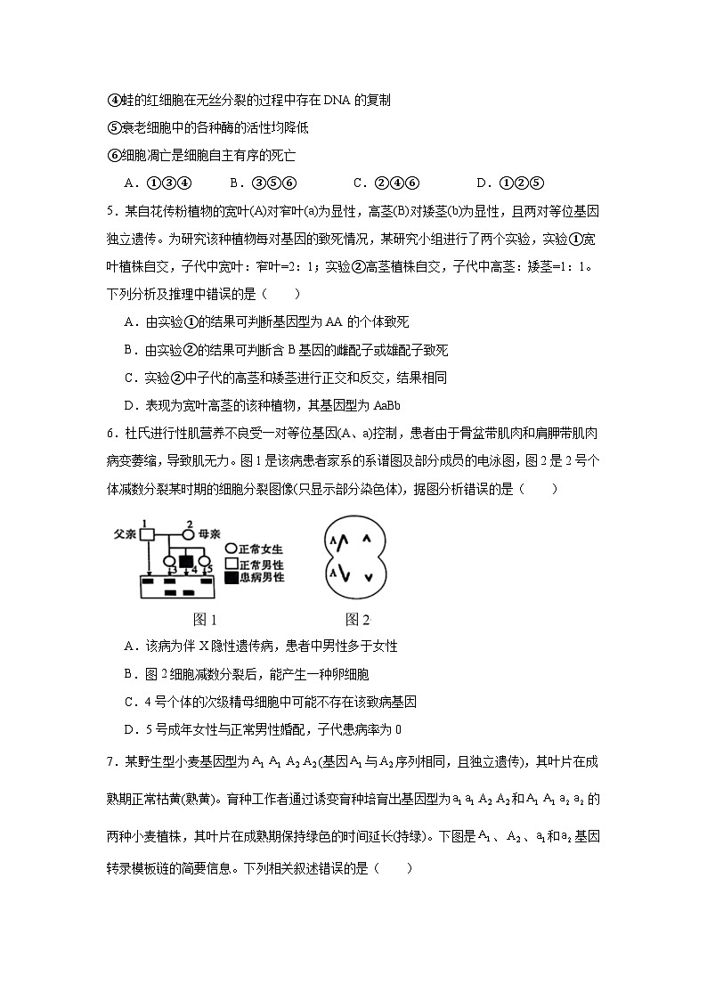 2025届陕西省榆林市高三二模生物试题第2页