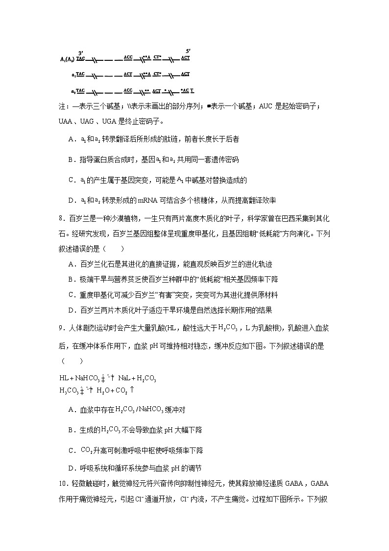 2025届陕西省榆林市高三二模生物试题第3页