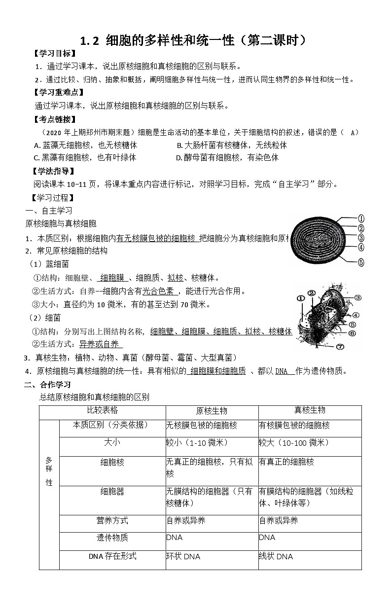 1.2 细胞的多样性和统一性（第二课时）导学案第1页