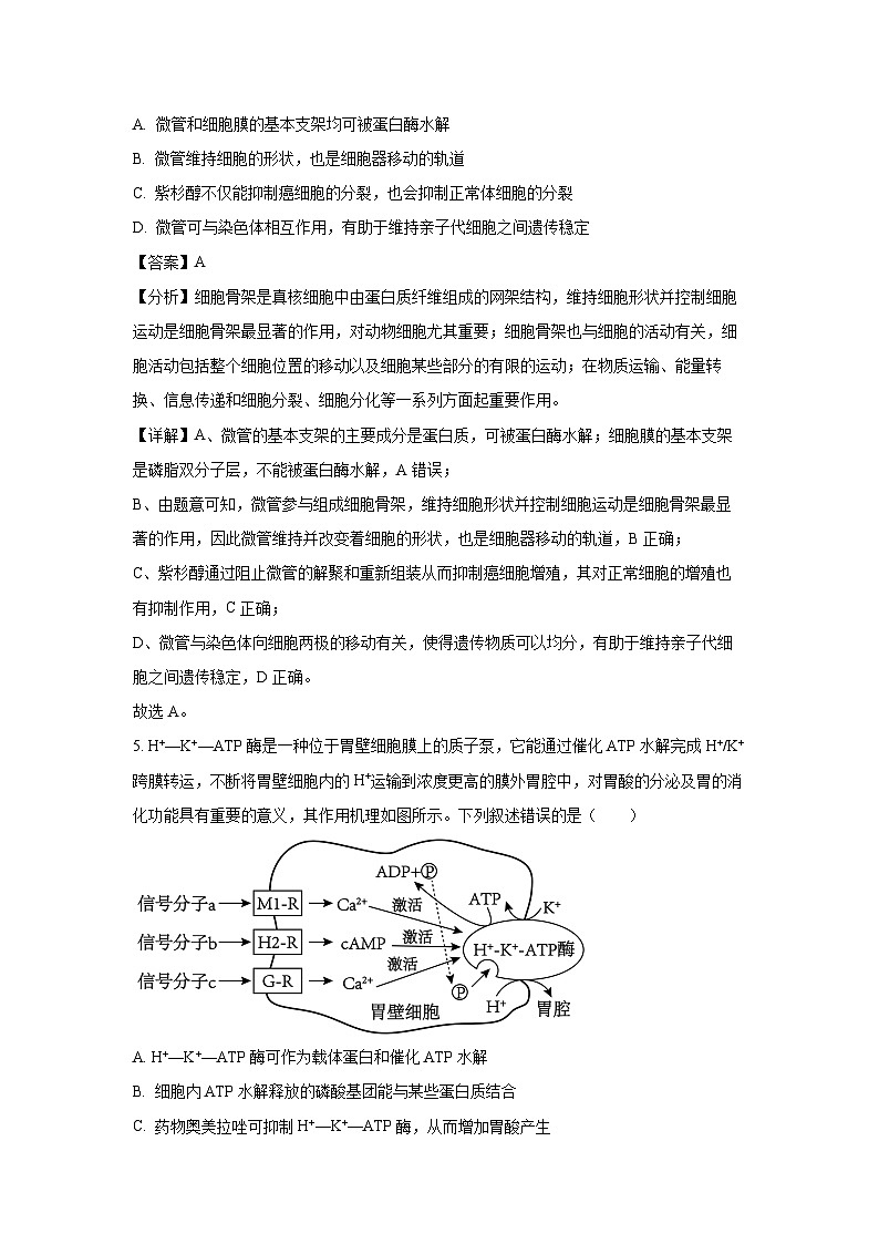 湖北省重点中学2025届高三上学期第一次联考月考生物试卷（解析版）第3页