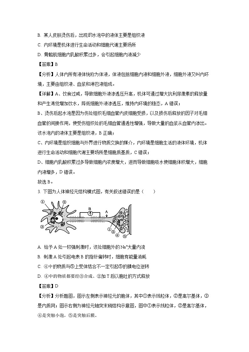 2024-2025学年辽宁省锦州市某校高二上学期期中质量检测生物试卷（解析版）第2页