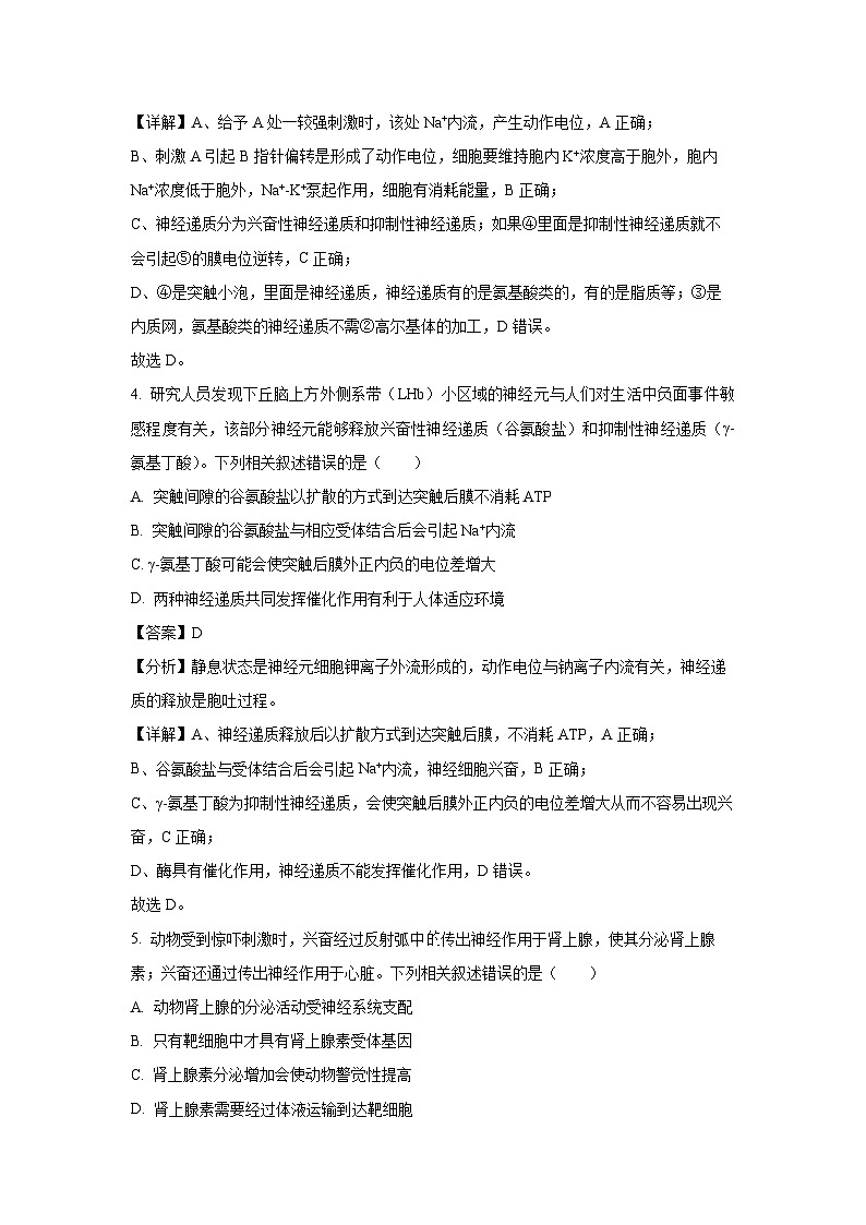 2024-2025学年辽宁省锦州市某校高二上学期期中质量检测生物试卷（解析版）第3页