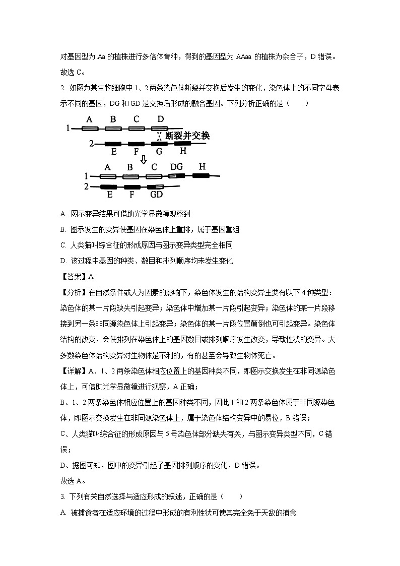 2024-2025学年贵州省九师联盟高二上学期11月联考生物试卷（解析版）第2页