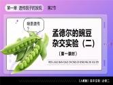 1.2孟德尔的豌豆杂交实验（二）（第1课时）课件-2024-2025学年高一下学期生物（人教版2019必修2）