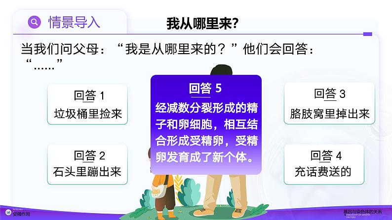 2.1.2 受精作用（教学课件）课件-2024-2025学年高一下学期生物（人教版2019必修2）第3页