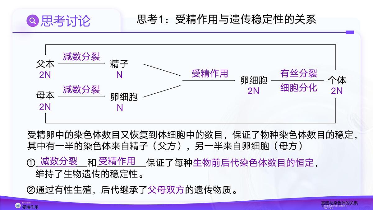 2.1.2 受精作用（教学课件）课件-2024-2025学年高一下学期生物（人教版2019必修2）第8页