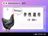 2.3 伴性遗传（第1课时）课件-2024-2025学年高一下学期生物（人教版2019必修2）