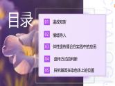 2.3 伴性遗传（第2课时）课件-2024-2025学年高一下学期生物（人教版2019必修2）