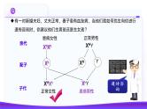 2.3 伴性遗传（第2课时）课件-2024-2025学年高一下学期生物（人教版2019必修2）