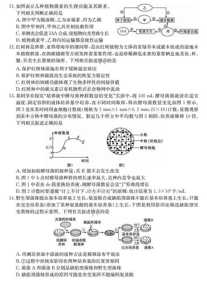 生物丨山西省三晋卓越联盟2025届高三1月期末质量检测卷生物试卷及答案第3页