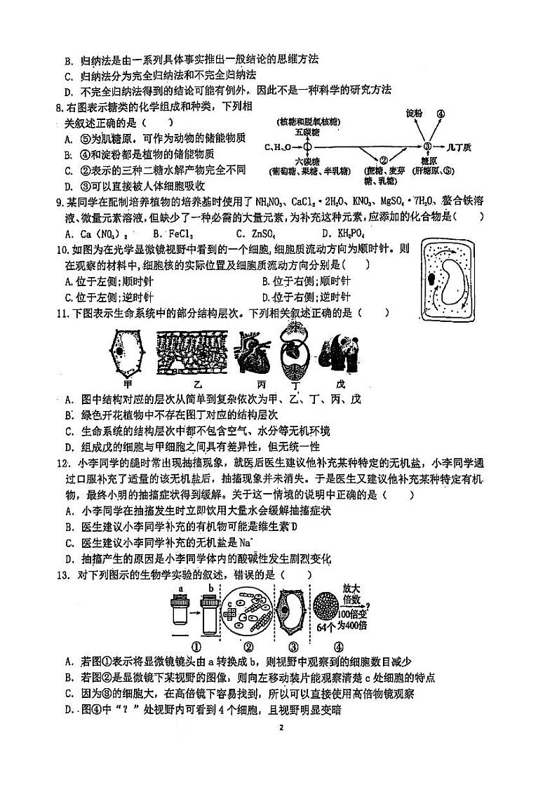 四川省泸州市合江县中学校2024-2025学年高一上学期第一次月考生物试题（原卷）第2页