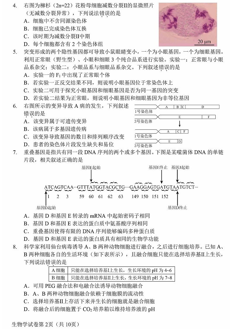 2025北京昌平高三上学期期末生物试卷和参考答案第2页