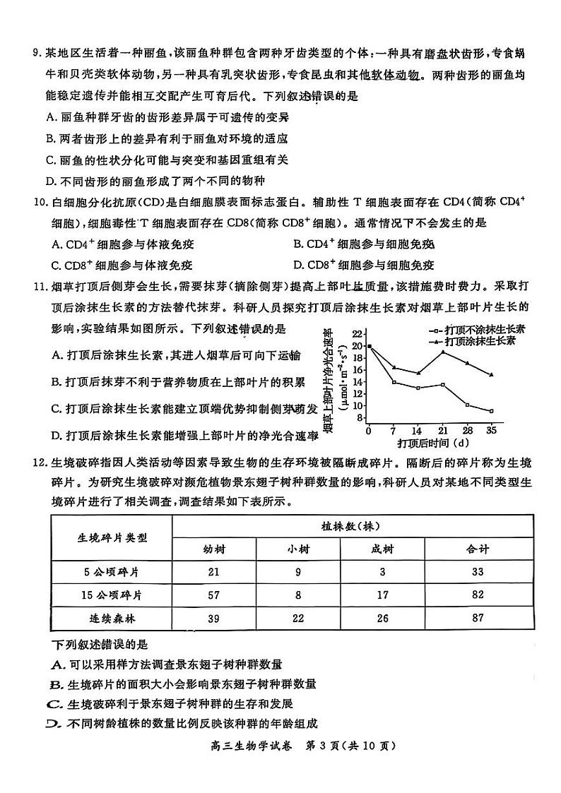 2025北京通州高三（上）期末生物试卷和参考答案第3页